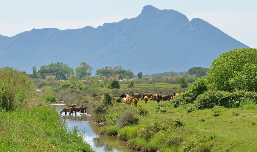 Parco del Circeo