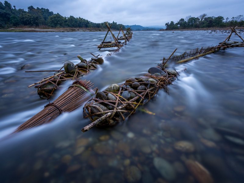 Trappole naturali in fiume